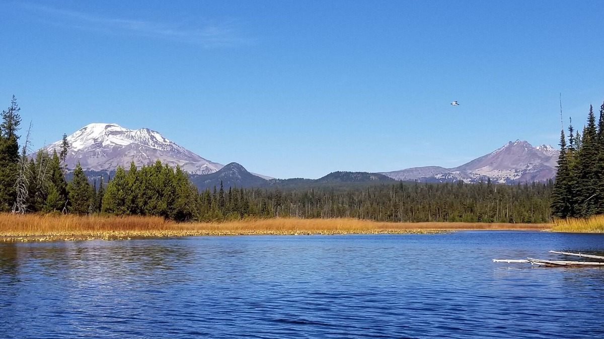 Boyd Acres House | Cozy NW Escape Close To River Access.Dog Friendly /Hot Tub