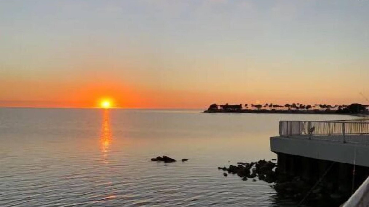 Bayonet Point House | Cozy Ocean Breeze Guest House Ideal Location