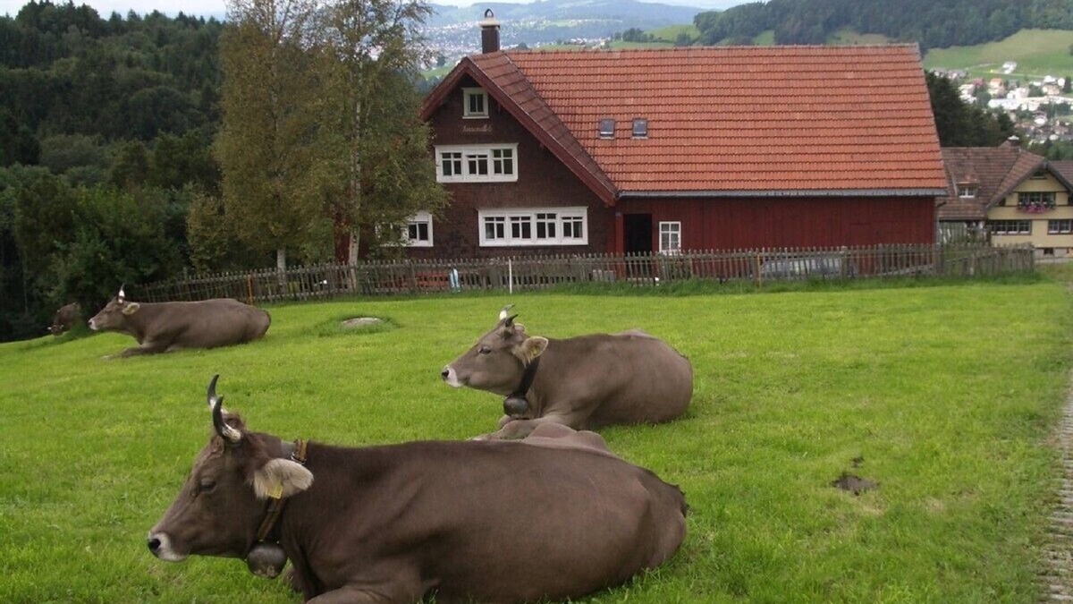 Rehetobel House | Cozy old Appenzeller farmhouse to live alone