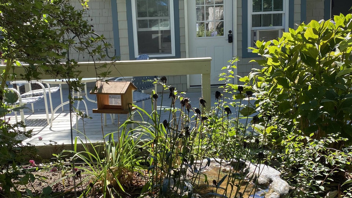 West Chatham Cottage | Cozy one bedroom on White pond (Must bring your own linens)