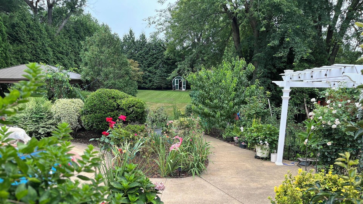 Annandale Cottage | Cozy paradise, full privacy, pool, gorgeous back yard, free parking!