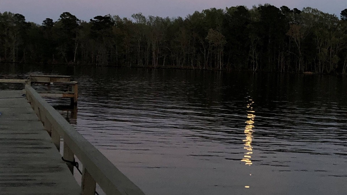 Summerton House | Cozy & Peaceful 3 bed 2 bath On the Water