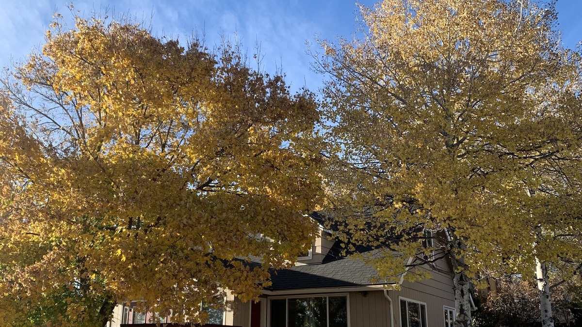 Altamont House | Cozy, peaceful getaway - less than 5 min from downtown Klamath