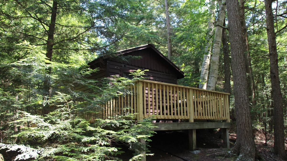 Saranac Lake Cabin | Cozy pet friendly cabin for two - 3 miles from Saranac Lake - access to lake
