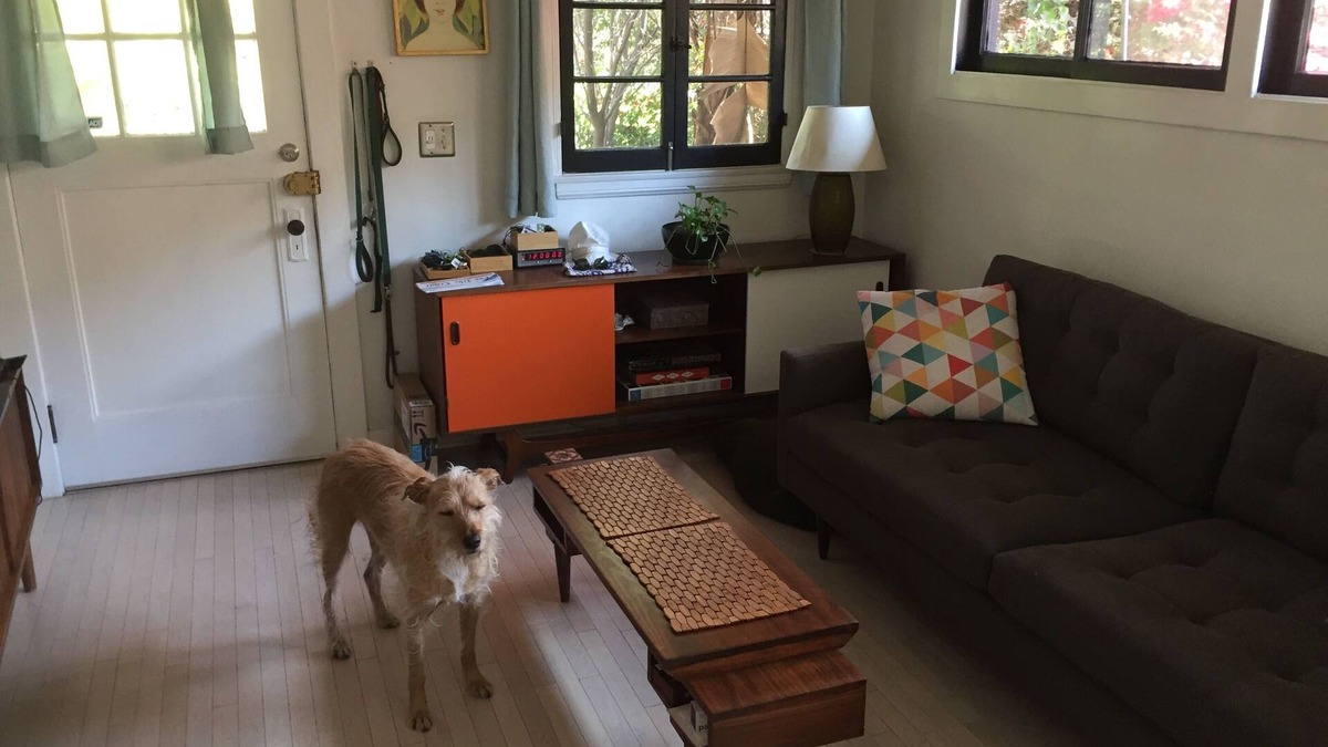Elysian Heights House | Cozy, Pet-Friendly Echo Park Bungalow with a patio & yard