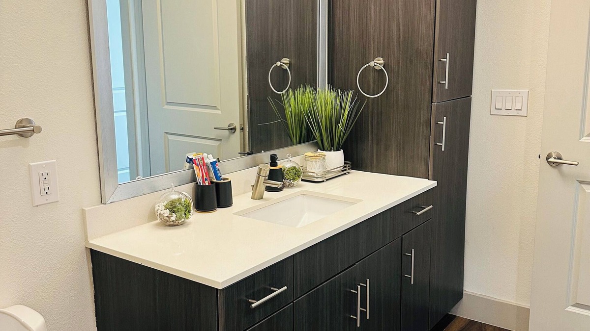 Farmers Branch Apartment | Cozy place with great atmosphere away from home