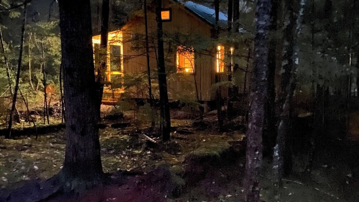 Mount Currie Cabin | Cozy private 1 Bedroom & Loft cabin in the forest. Rustic with Modern features.