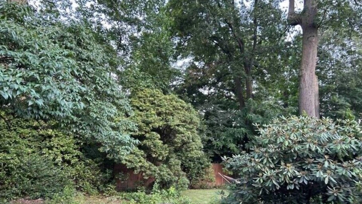 Teaneck Apartment | Cozy Private suite mins away from NYC