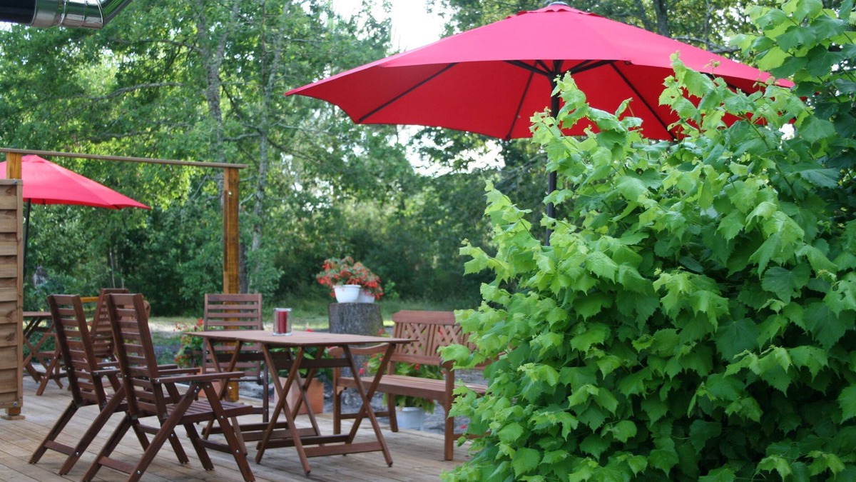 Brach Apartment | Cozy, quiet apartment in the pine forest with a huge garden and animals.