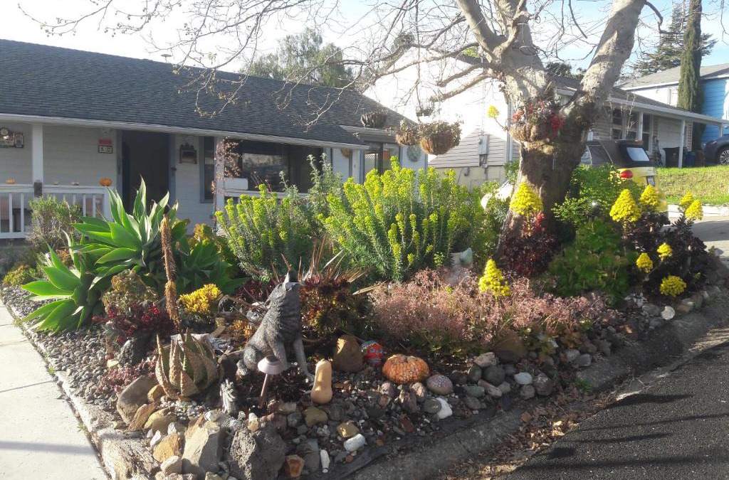 Benicia Apartment | Cozy, Quiet Home in Family-Friendly Neighborhood!