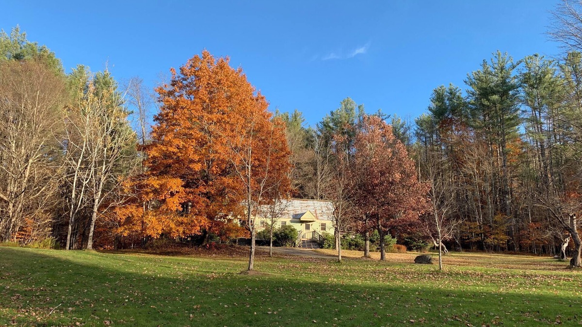 Rowe Bed & Breakfast | Cozy Retreat in the Berkshires - Prue Berry Room in Orchard Guest House