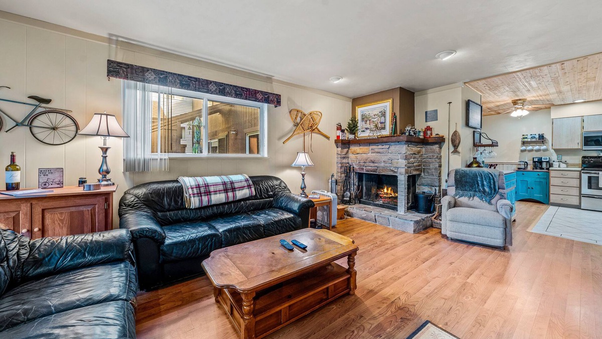 Chestertown Condo | Cozy retreat with fireplace, kayaks, and shared beach/pond access