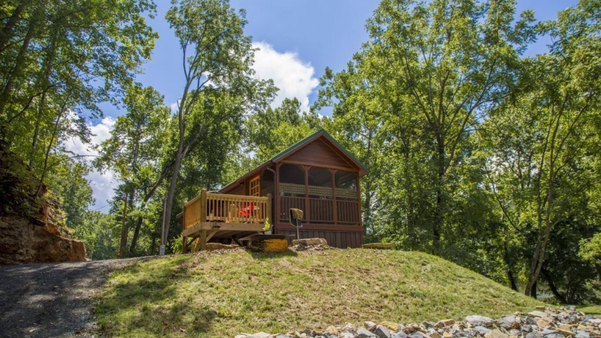 Barren Springs Cabin | Cozy Riverfront Tiny Home! Couple's Retreat - 1BS2
