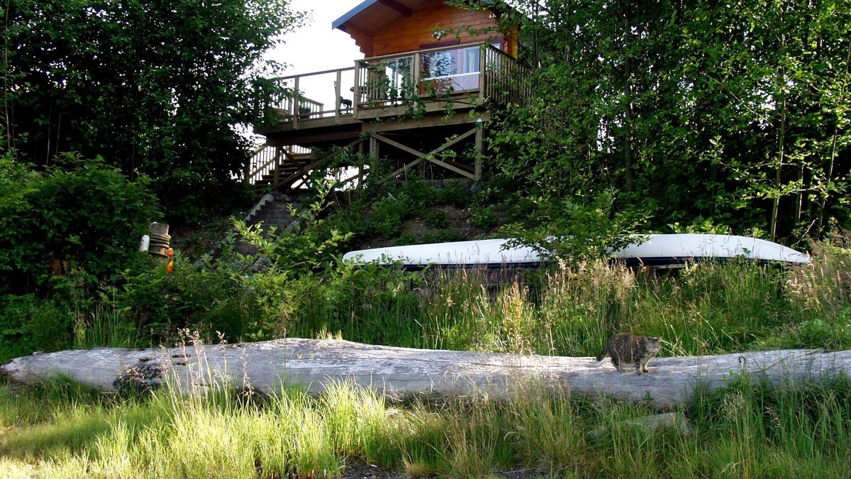 Ucluelet Cabin | Cozy, romantic waterfront cabin. Sleeps 2, pet-friendly, walk to all amenities.
