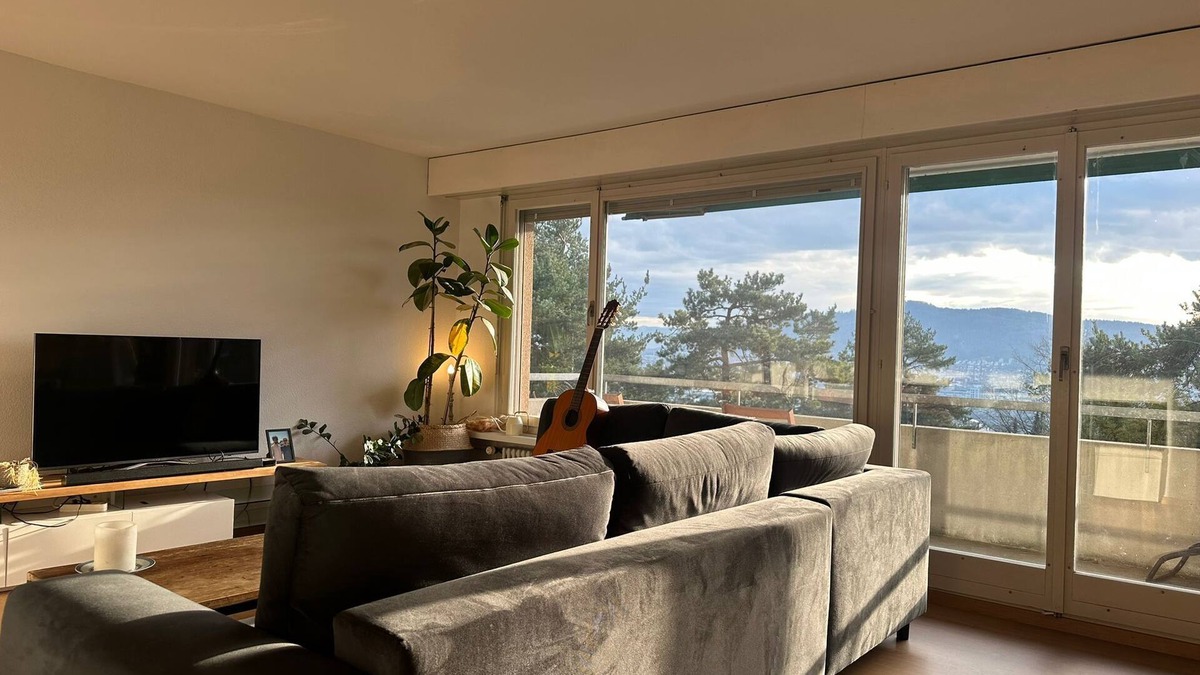 Hoengg Apartment | Cozy Room with Large Terrace & Stunning View