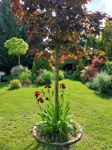 Modra House | Cozy rooms in wine town - Modra