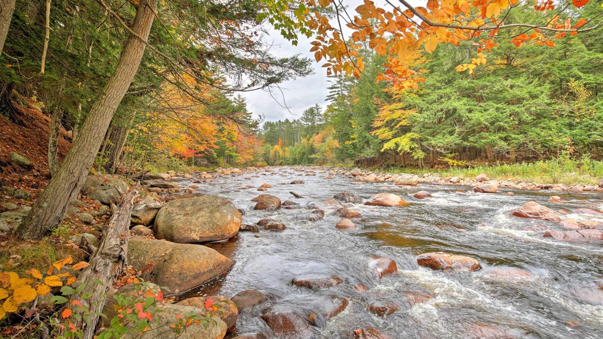 Glenfield Cabin | Cozy, Rustic Adirondack Riverfront Log Cabin, Rapids, Near Horse and ATV trails