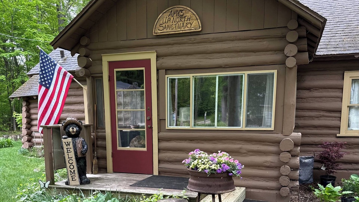 Honor Cabin | Cozy/rustic cabin in the woods.linens and firewood included!