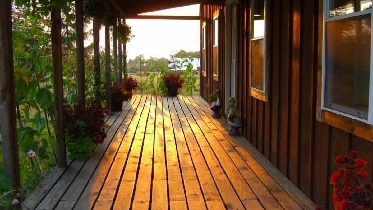 Valois Cabin | Cozy, rustic cabin with beautiful views, privacy, and 1 mile from Keuka Lake