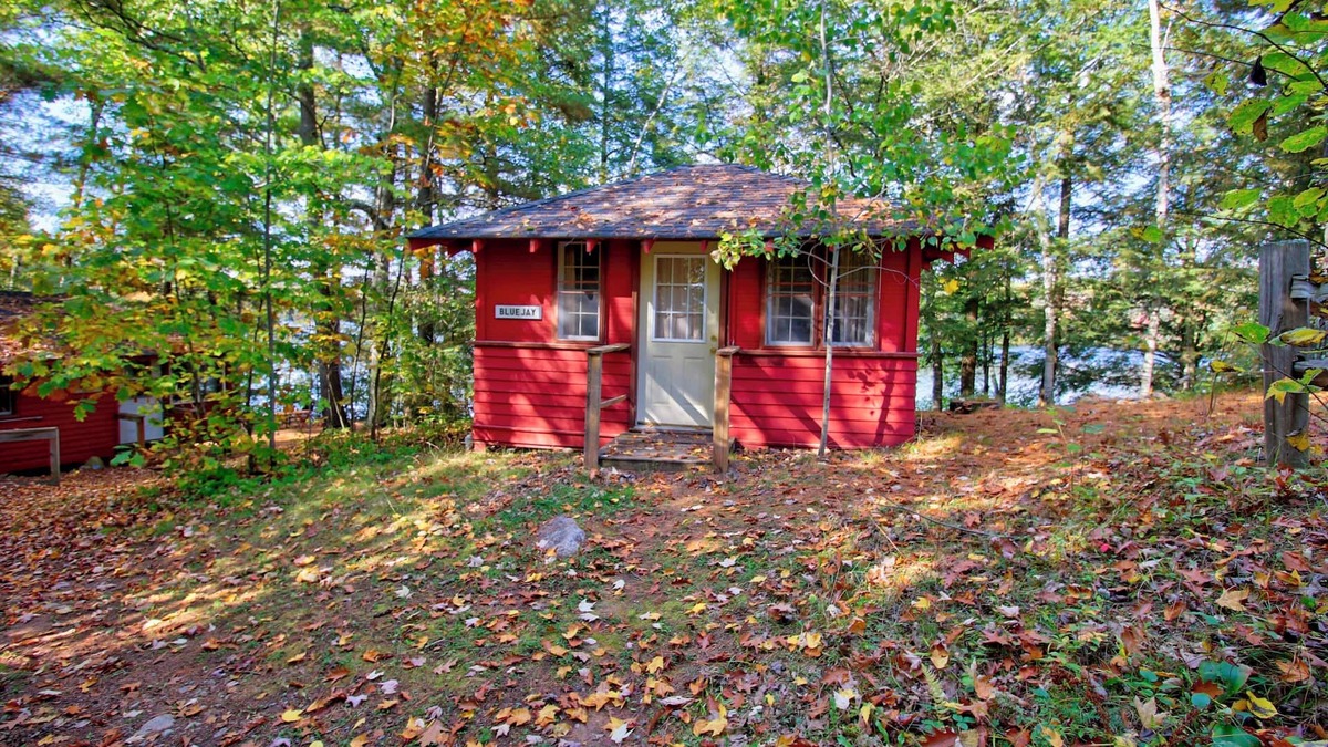Lac du Flambeau Cabin | Cozy Rustic, Lakeside, Wisconsin Northwoods Cabin with private dock-Pet Friendly