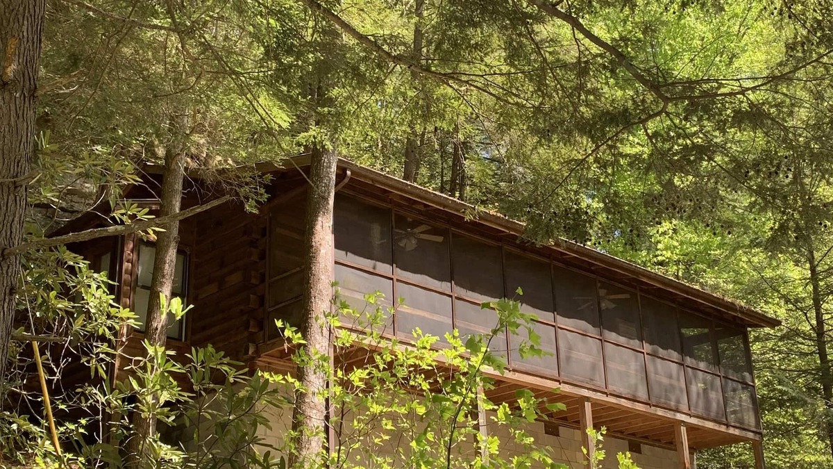 Rogers Cabin | Cozy secluded cabin on Spirit Lake with internet