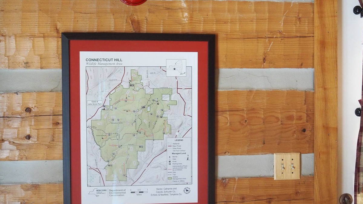 Town of Catharine Cabin | Cozy, secluded log cabin, summer vacation get-away or Fall Hunters paradise .