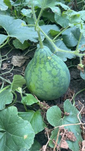 Leavenworth House | Cozy space in quiet neighborhood