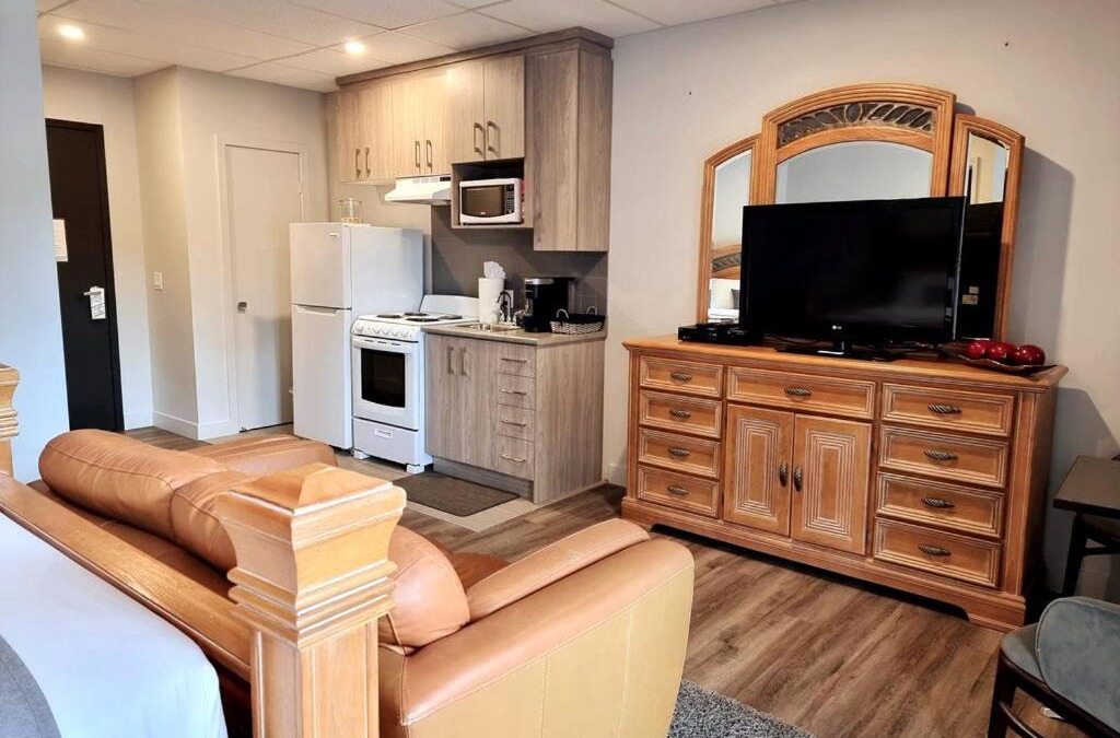 Downtown Gatineau Apartment | Cozy Spacious 1-BDR Studio #8. FREE Parking