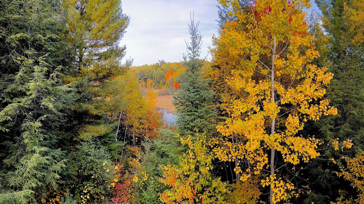 Lakewood Cabin | Cozy, spacious cabin. Great for fishing & snowmobiling!