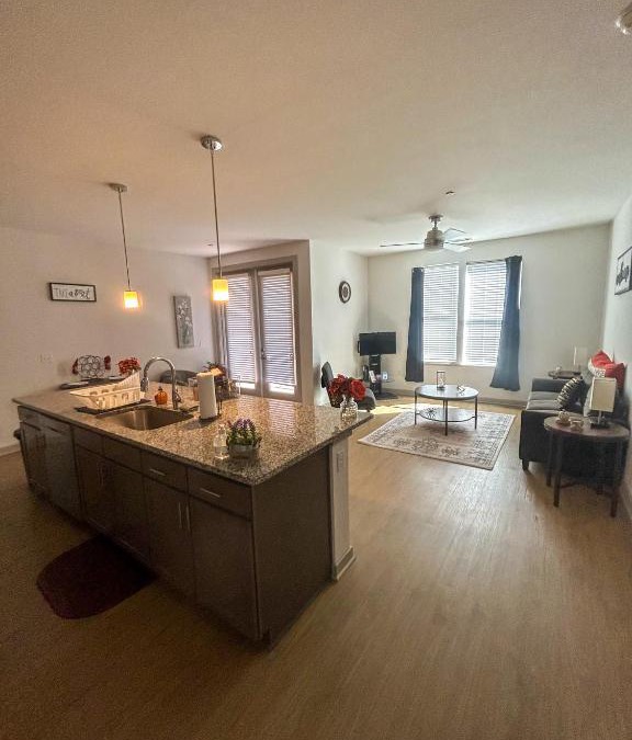 Shockoe Bottom Apartment | Cozy & Spacious Gem downtown Richmond, mins to VCU