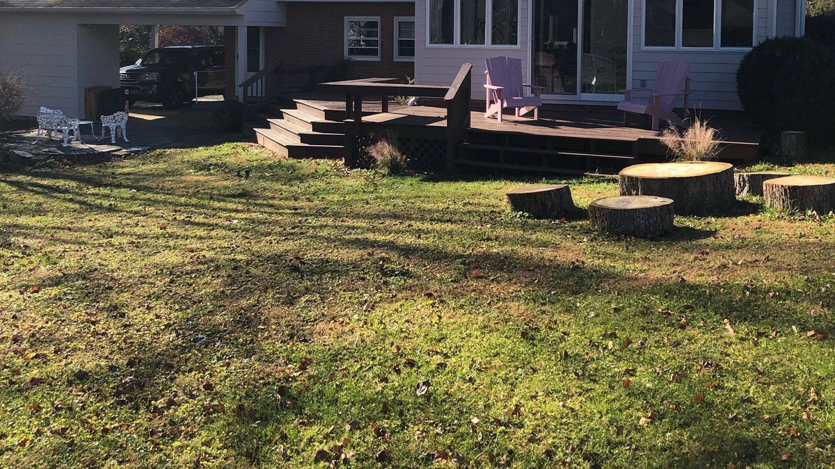 Rio Bed & Breakfast | Cozy stay in an updated colonial style house, ≈ 5 min drive to downtown and UVA
