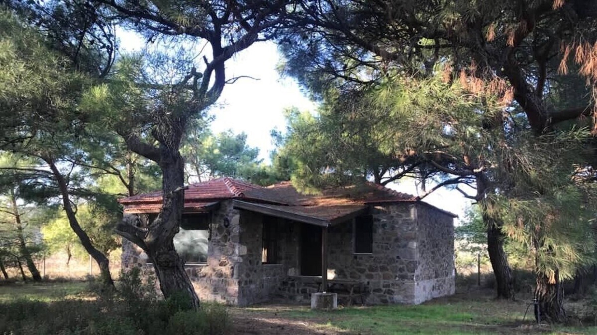 Urla House | Cozy stone cottage for the nature lover