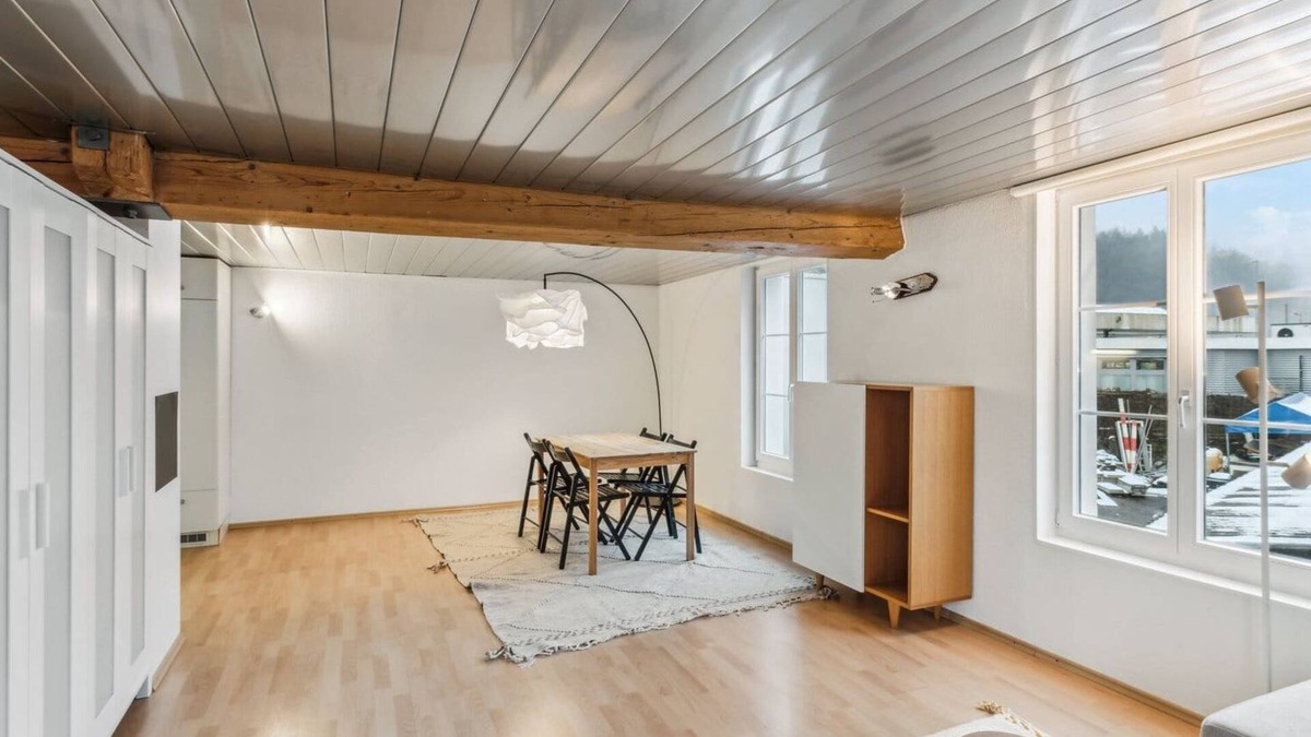 Dietikon District Apartment | Cozy Studio Charm Sum