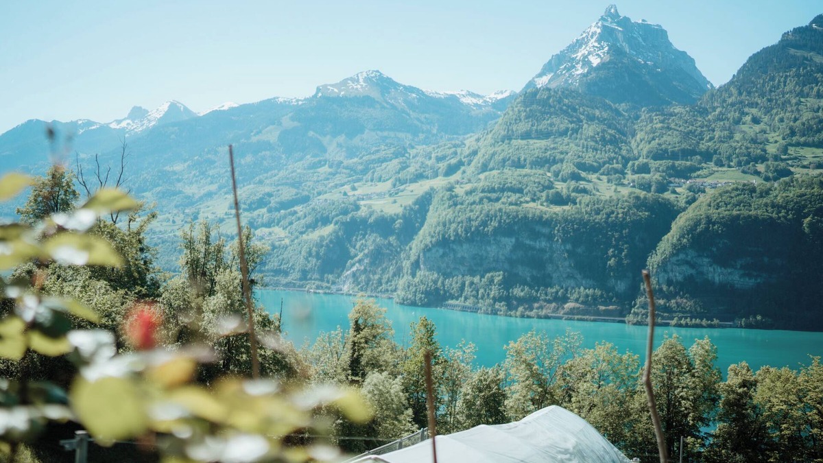 Amden Apartment | "Cozy Studio in Amden: Your Perfect Getaway in the Swiss Mountains!"