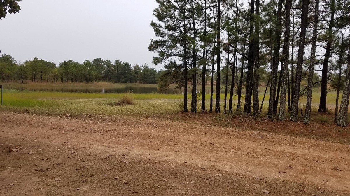Antlers Apartment | Cozy studio pet friendly cabin- private lake - fishing & swim - Cowgirl Cabin