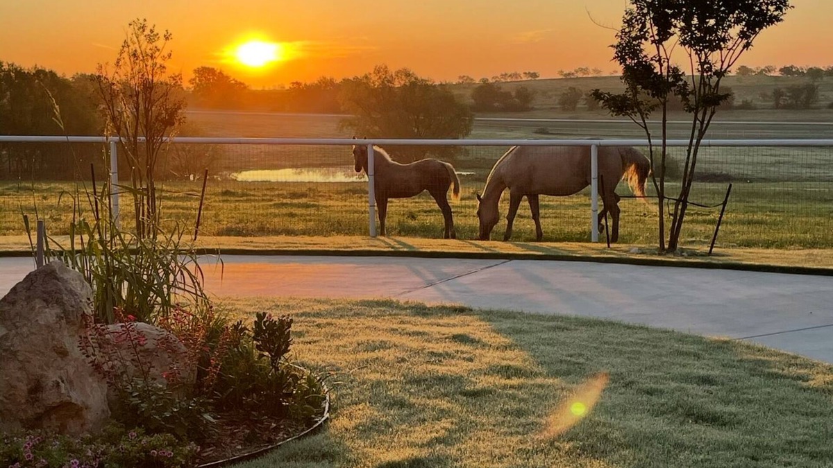 Fort Worth Apartment | Cozy studio with queen pullout sofa on scenic working ranch in Fort Worth.