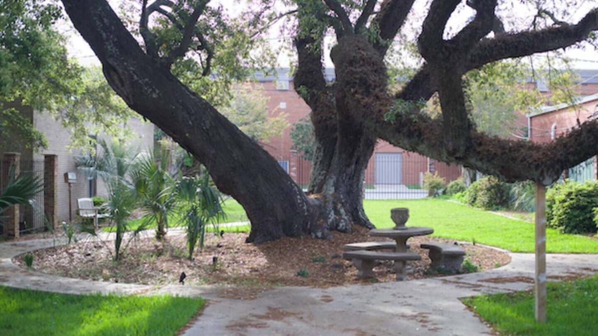 Pascagoula Apartment | Cozy Stylish Executive Studio, Great Downtown Pascagoula Location