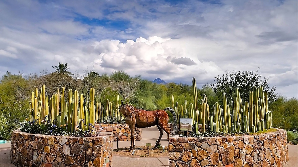 Tucson Hotel | Cozy Suite Retreat! 2 Modern Pet Friendly Units, Near Park Place Mall!