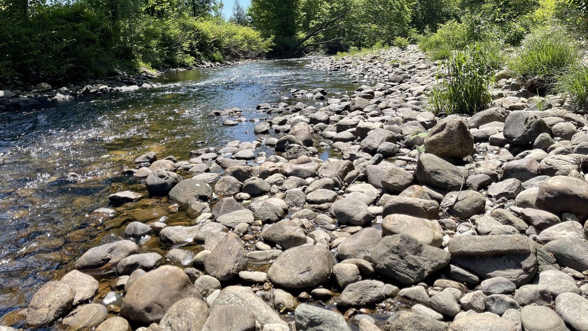 Ludlow RV Rental | Cozy Tiny Home on Black River - Walk to Town!
