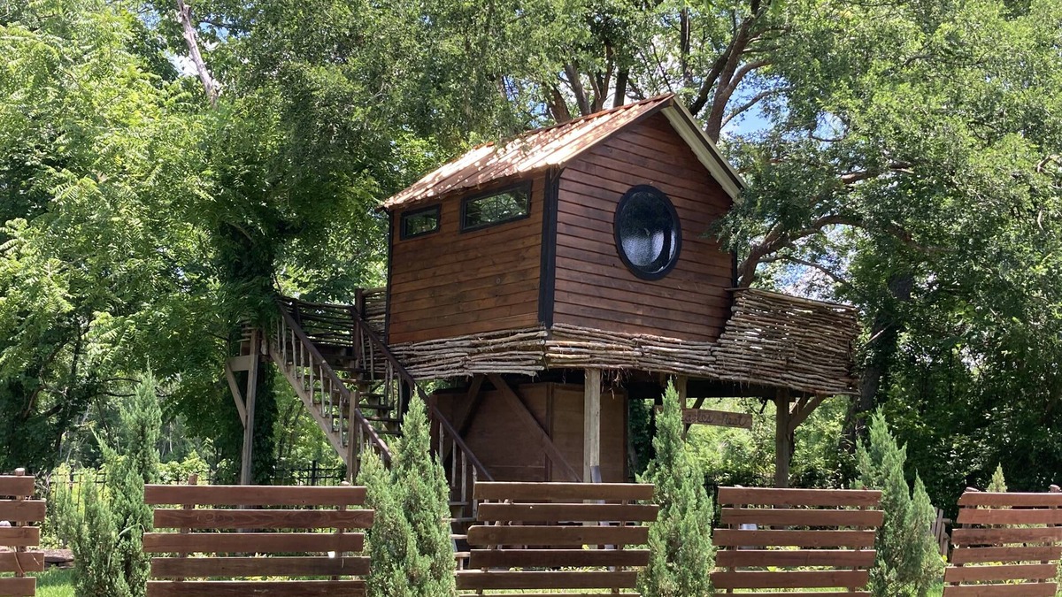 Willis House | Cozy Treehouse on Lake Conroe w/large nest deck with a creek view