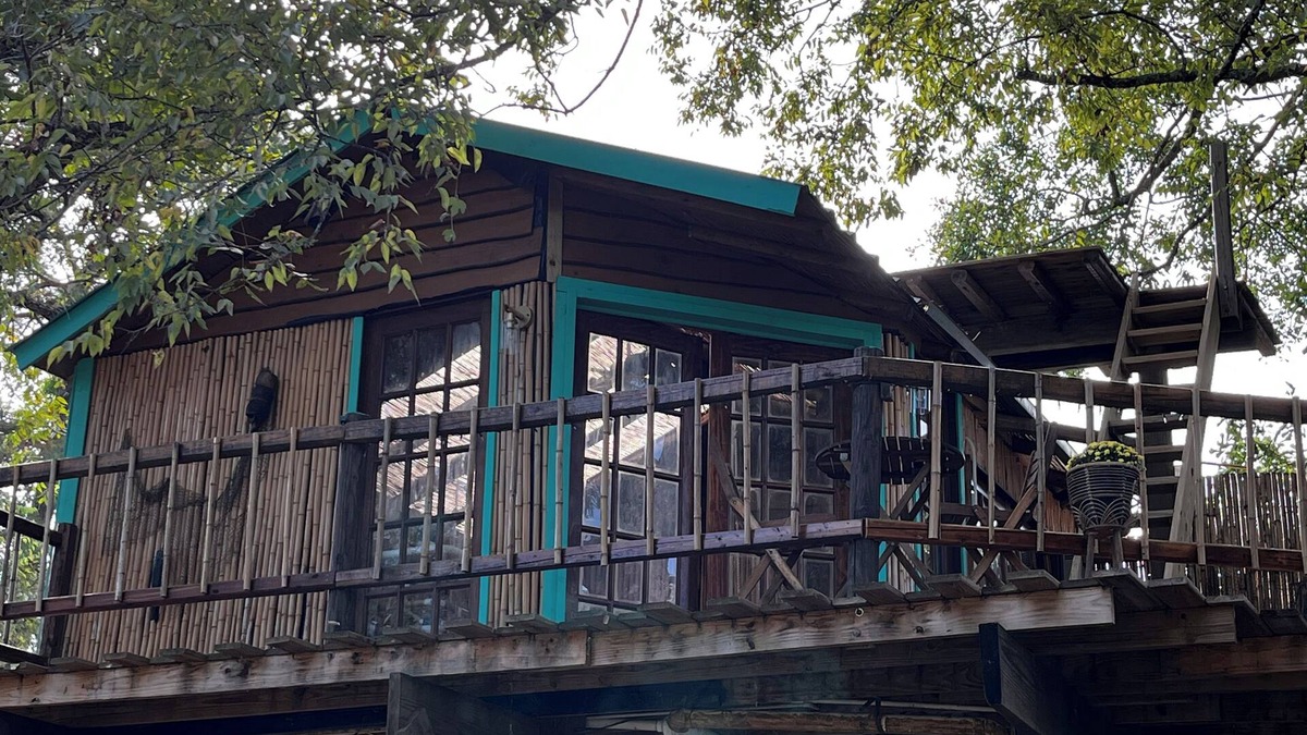 Willis House | Cozy Treehouse on Lake Conroe w/firepit/kayaks