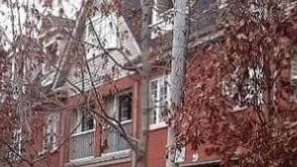 Macomb House | Cozy Tri-level Townhouse - 3 min from Outdoor Mall at Partridge Creek
