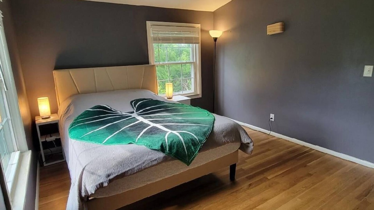 Ann Arbor House | Cozy updated 3 Bedroom house in Ann Arbor, 1.5mi to downtown and the big house!