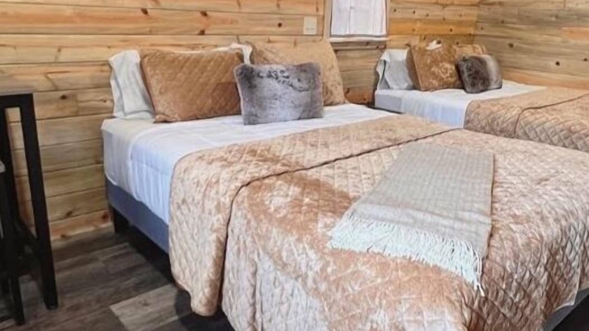 Forks Cabin | Cozy + Upscale Cabin in the Woods-2 Queen Beds