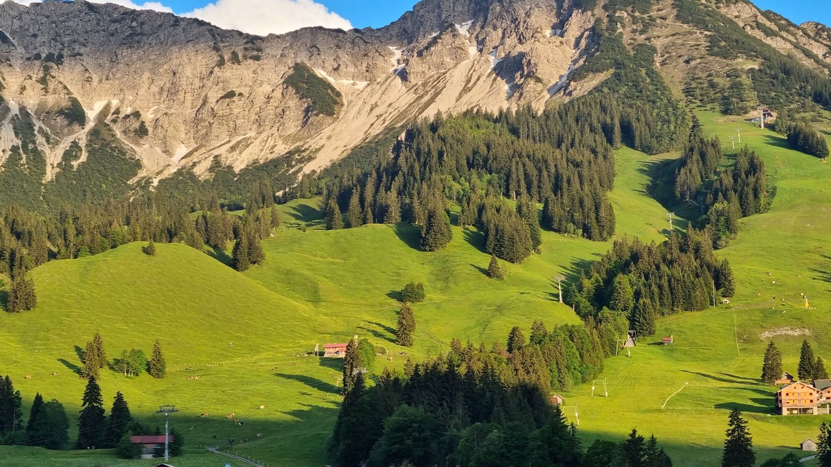 Oberjoch Apartment | Cozy vacation apartment, at Oberjoch, allergy-friendly, Bad Hindelang Plus