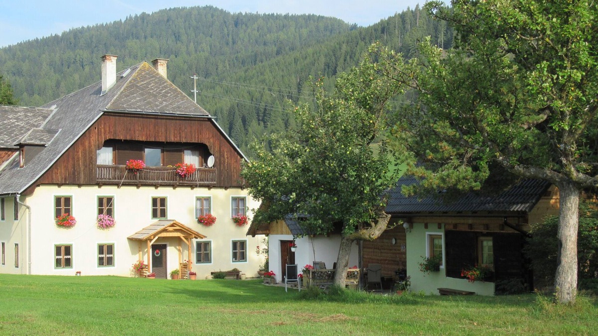 Krakauhintermuehlen Apartment | Cozy vacation apartment at 1420m altitude in the middle of nature on an organic farm