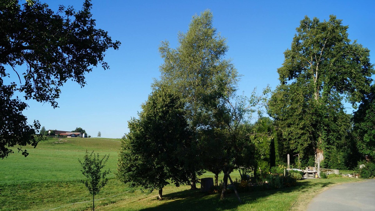 Christazhofen Apartment | Cozy vacation apartment on the farm - vacation for the whole family