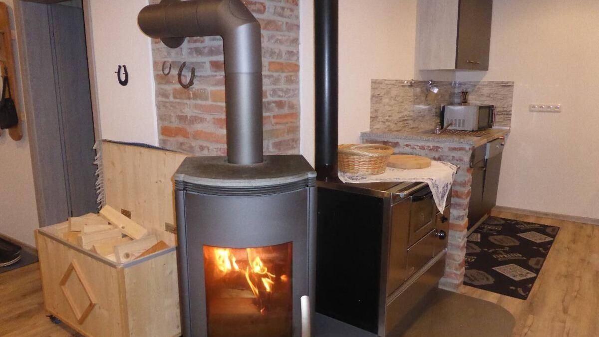 Schofweg Apartment | Cozy vacation home (70 sqm) with fireplace and infrared sauna for up to 5 people