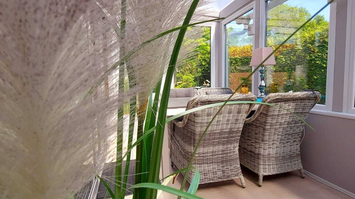 Dirkshorn House | Cozy vacation home in Dirkshorn