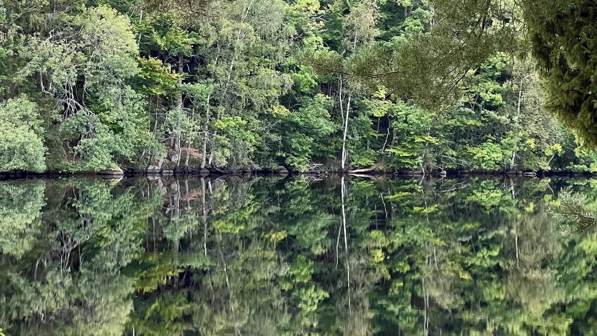 Oppinge House | Cozy vacation home with a view of the water and forest. Pet friendly.